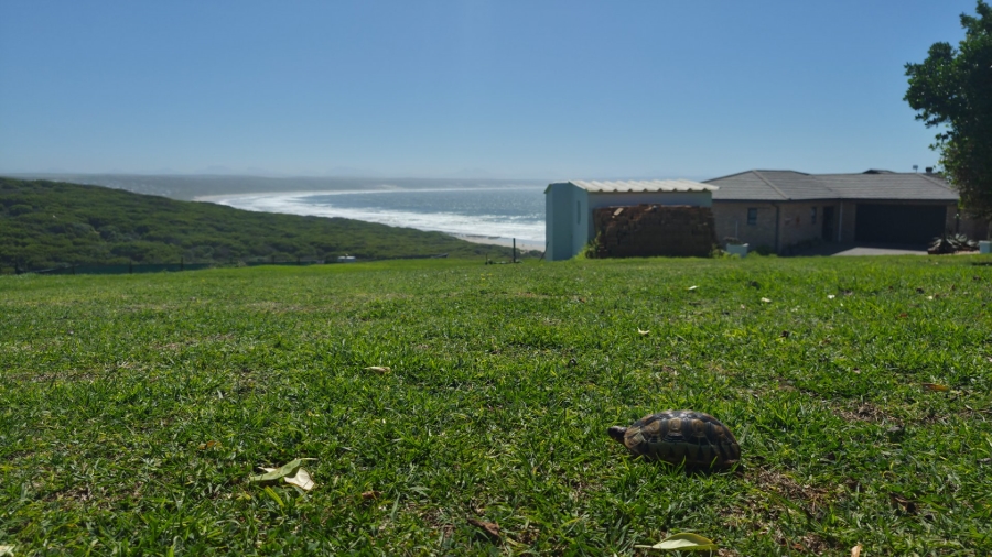 3 Bedroom Property for Sale in Vleesbaai Western Cape